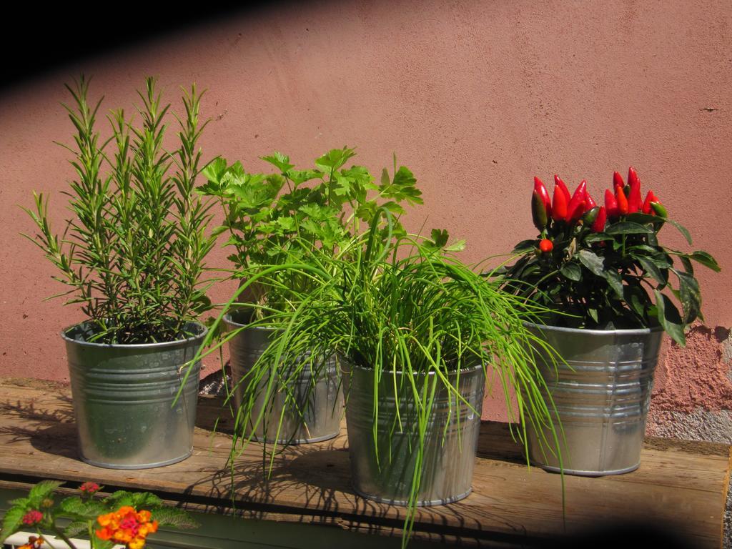 קטאניה Terre Del Cardinale Country Suites מראה חיצוני תמונה